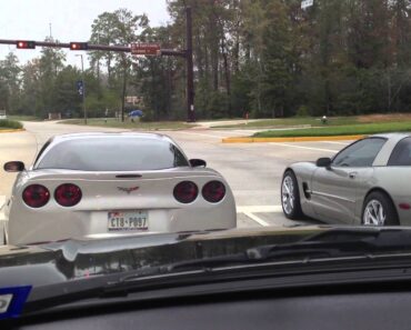 Two Turkeys Wrecking their Corvettes in The Woodlands