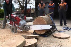 4.2L V8 Chainsaw by Whitlands Engineering