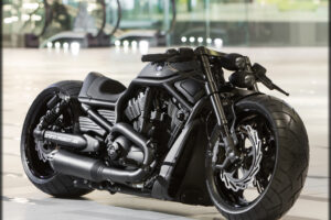 MEET THE ULTIMATE SEDUCER ON THE HIGHWAY – Harley Davidson Night Rod Special By Fredy!
