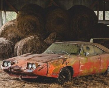 1969 Dodge Charger Daytona Barn Find Heads To Auction!