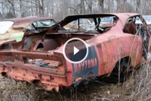 How The Hell Could Somehow Allow For These Mopar Greats To End Up Like This?
