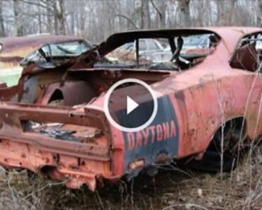 How The Hell Could Somehow Allow For These Mopar Greats To End Up Like This?