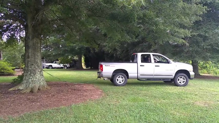 Wow This Truck Pulled Down The Tree Without Ease! Watch!