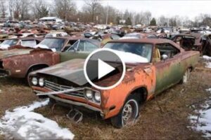 Epic Mopar Junkyard – Chargers, Superbees, Road Runners oh my!