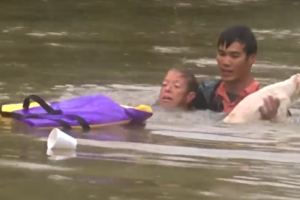Dramatic Video Shows Woman, Dog Being Rescued From Sinking Car!