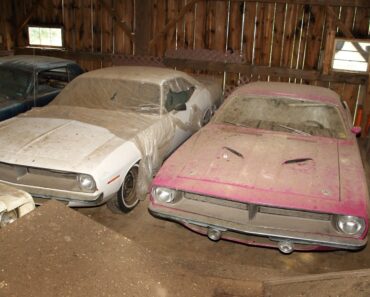 The Barn Find of Mopars Hidden for Decades!