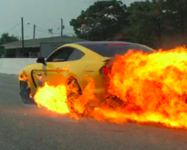 Holy Shit A Ford Mustang GT350 Turned Into A 100 MPH Fireball