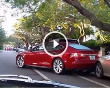 Is This Tesla A Self-Parking Fail Or Just A Really Crappy Human Driver