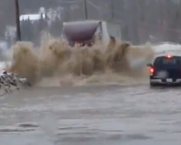 Semi Truck Against Flood – No Slowing This Guy Down!