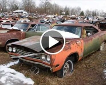 Epic Mopar Junkyard – Chargers, Superbees, Road Runners oh my!