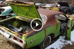 Did You Know There’s A Mopar Graveyard In The Middle Of Alabama?