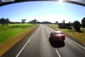 Car Brake Checks Truck and Pays the Price!