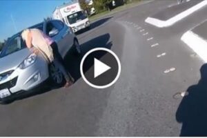 Mom rear ends her own son while he is riding his Motorcycle