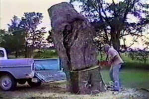 Man Saws Tree Trunk into Truck Bed: You Must Be Kidding Me!