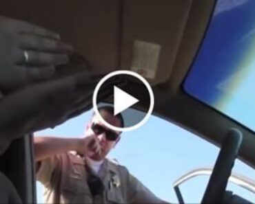 Watching this girl get owned by the Police for claiming she is above the law is awesome!